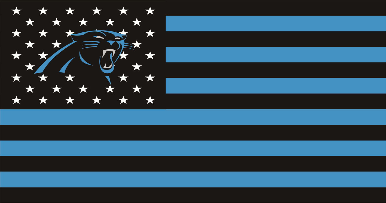 Carolina Panthers Flags DIY iron on transfer (heat transfer)